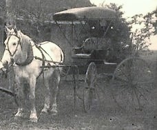 John A. Roberts white horse and black carriage